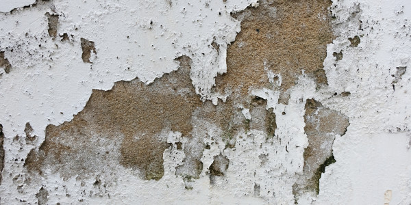 Pintar Fachadas de Empresas / Negocios / Locales Comerciales Parla · Pintura Antihumedad / Antimoho para Humedades / Moho